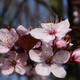 Image for article titled Shooting Challenge: Focus Stacking Gallery